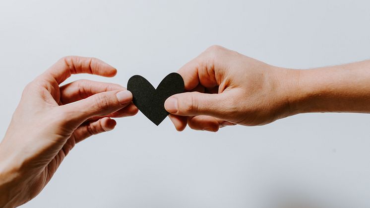 kelly-sikkema-4le7k9XVYjE-unsplash