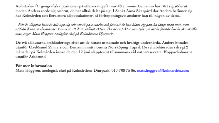 Sälarna Anders och Benjamin klarar sig bra