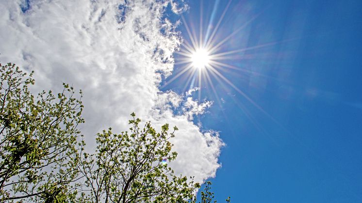 Priset för april var 11 procent högre än genomsnittspriset för april under de senaste tio åren och hela 32 procent högre än genomsnittet för de senaste fem åren.