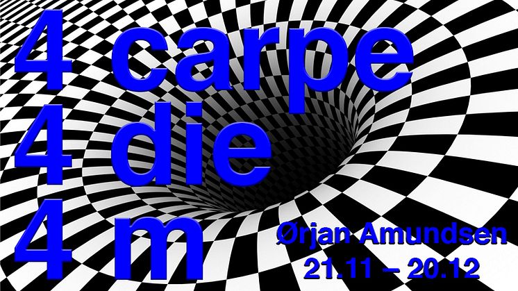 Gjennom fart og overflod, bilder og tekster, farger og former, samt melodier og rytmer er "4 carpe 4 diem 4" en hypnotisk, ekstatisk og poetisk video- og lydinstallasjon.