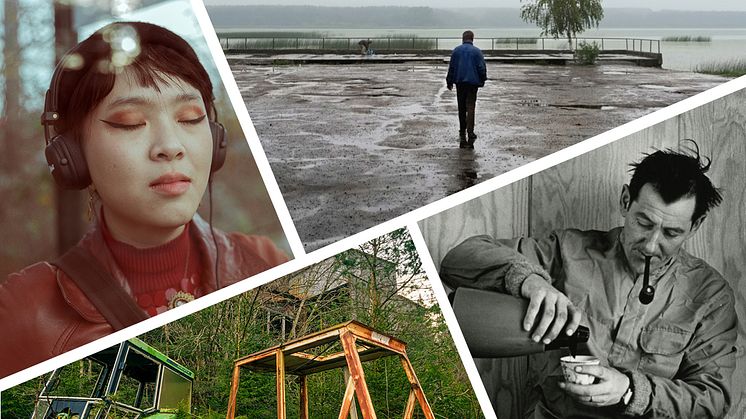 1345 foton och 45 filmer skickades in till årets salong. Foto: Fanny Jansson, Gunta Podina, Björn Granstrand, Thor-Björn Johansson