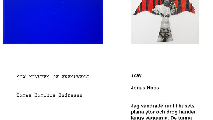 Examensutställningar: Tomas Kominis Endresen och Jonas Roos