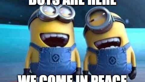 The Meaning of Bots