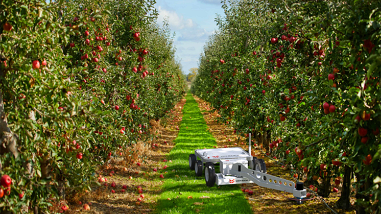 Optifruit Robotics introducerar en autonom robot som rör sig genom fruktodlingar, samlar data om varje träd och använder bildbehandling i realtid för att identifiera problem som kan påverka avkastningen, som skadeinsekter och sjukdomar.