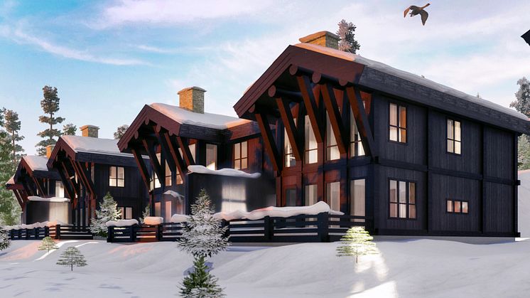 Ski Lodge 1125