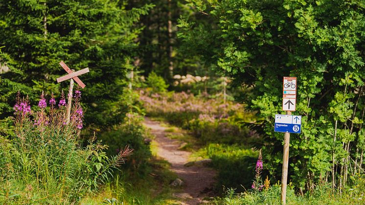 Cykling | Orsa Grönklitt