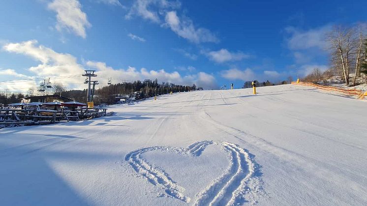 Wurzelrudi_Winter©Wurzelrudi46.jpg