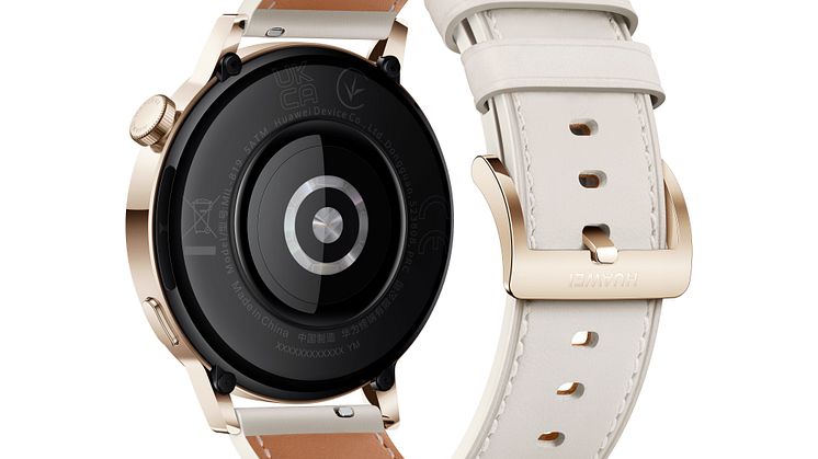 Watch GT 3 42mm 4.jpg