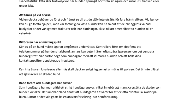 Många hundar skadas i trafiken