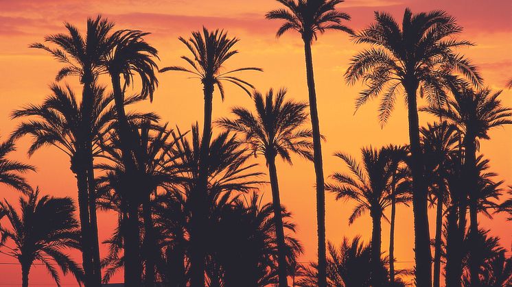 Press Trip Cosmopolitan Benidorm 26-29 September