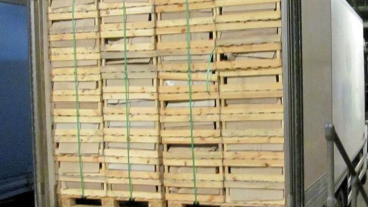 SE 16.16 Cigarette smuggling attempt crumbles at border