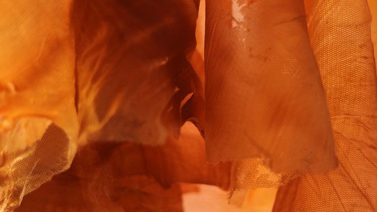 Apichaya Wanthiang, Some Body Else (2022). Gjengitt med kunstnerens tillatelse