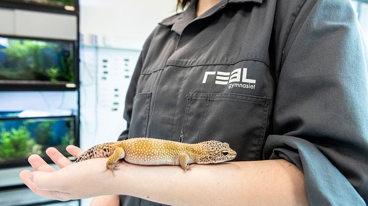 Ytterligare tillskott till digitala kurser - Zoohandelsutbildning Reptiler