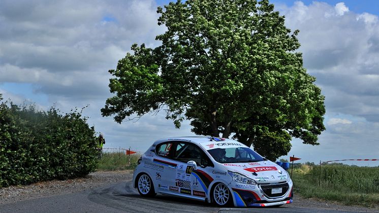 Peugeot Sport Dealer Team DK fik medhold i sin protest