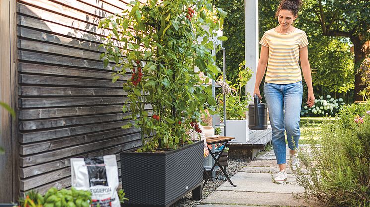 Ab in den Garten