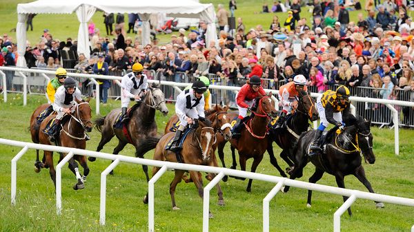  30 000 firade nationaldagen med galopp på Gärdet