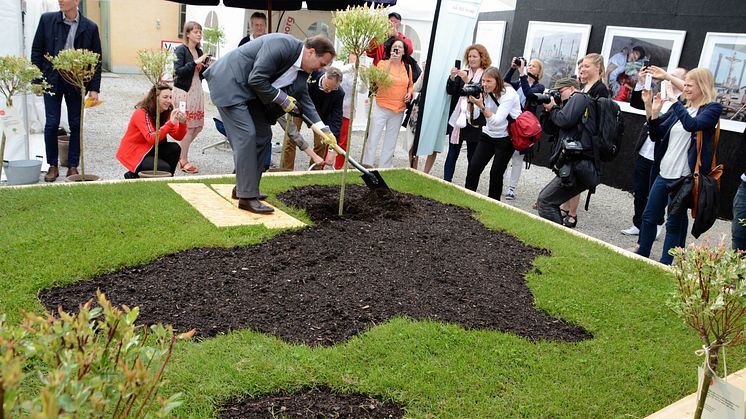 Löfven först ut att plantera träd i Almedalen