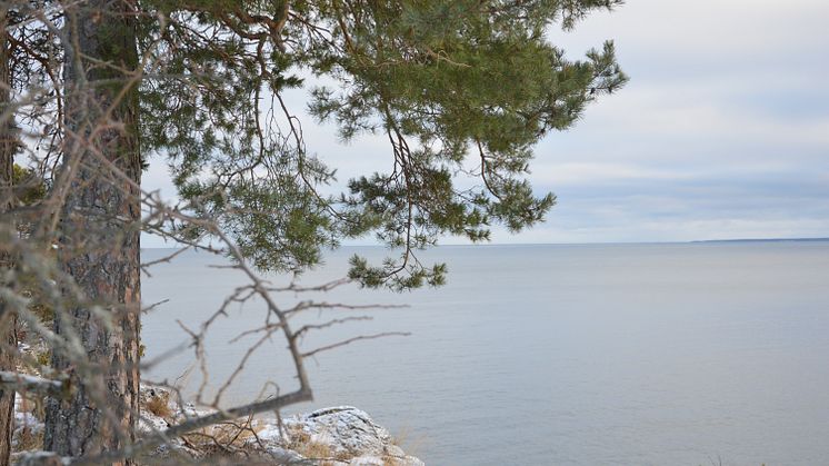 Solklippan, Norrlandet i Gävle