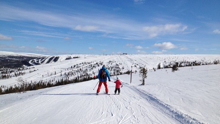 Hundfjället mars 2014