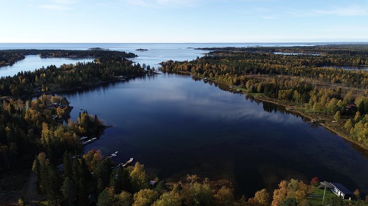 KvarkenFlada-Djupviken-AnniinaSaarinen-LstVästerbotten.JPG