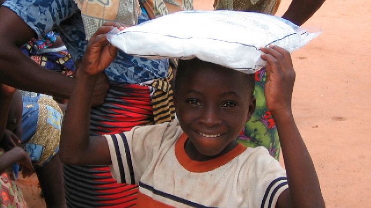 Myggnät skyddar mot malaria 
