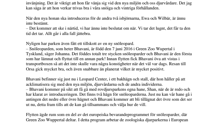 Nya djur har flyttat in i Orsa Rovdjurspark