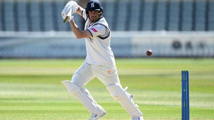 Rhodes to captain County Select XI against India
