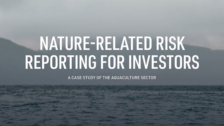 A new report explores how businesses and investors can document and manage how the depend on nature, as well as how they impact it.