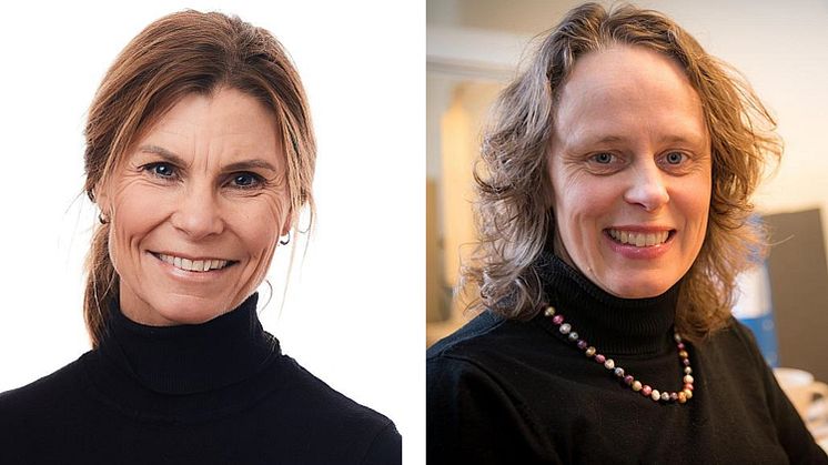 Malin Stensson och Maria Björk, Hälsohögskolan Jönköping