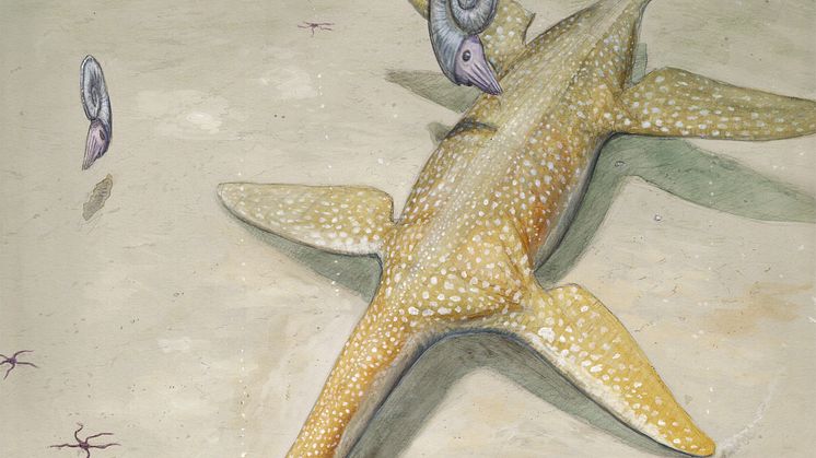 Life reconstruction of Arminisaurus schuberti.  Picture: Joschua Knüppe.