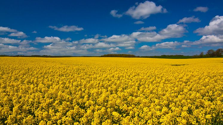 Destinationsutveckling Skåne Sydost fortsätter
