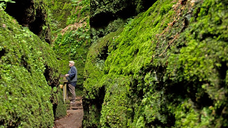 Eisenach: Thüringer Wald Drachenschlucht