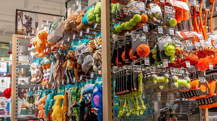 Fressnapf_Sierre_chien_jouets_5.jpg
