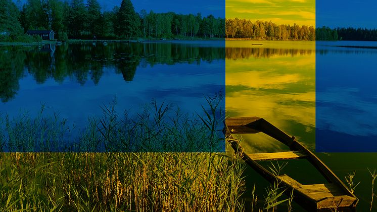 Bilden av Sverige - en förebild eller ett land i kris?