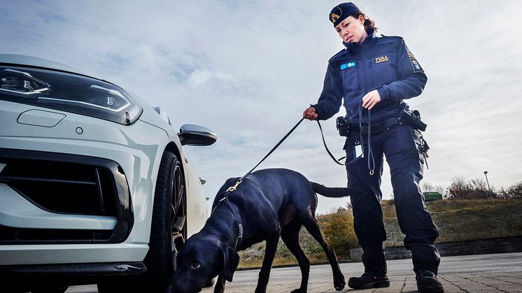 Årets narkotikasökhund 2019