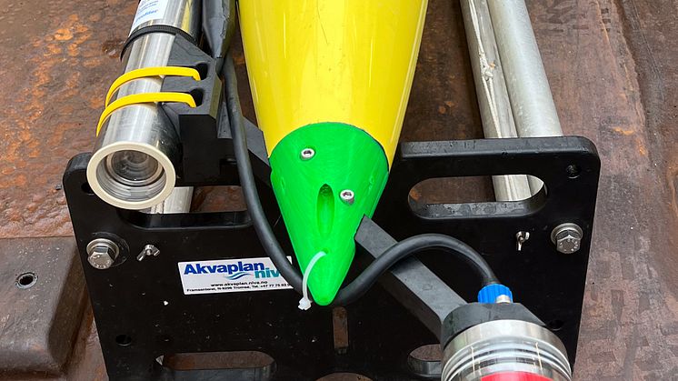 Bioglider nose