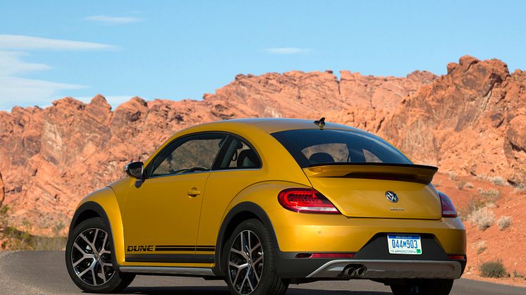 Beetle Dune
