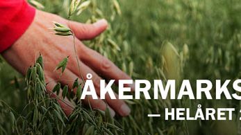 Stigande priser på åkermark - i nästan hela Sverige