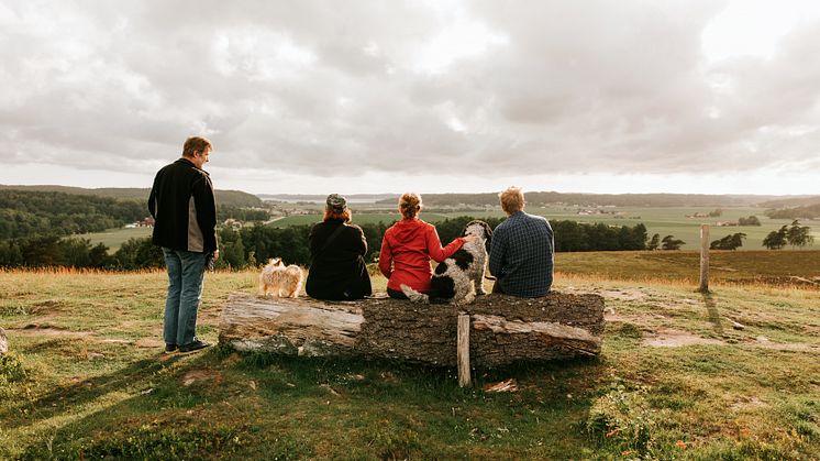 Fjärås Bräcka