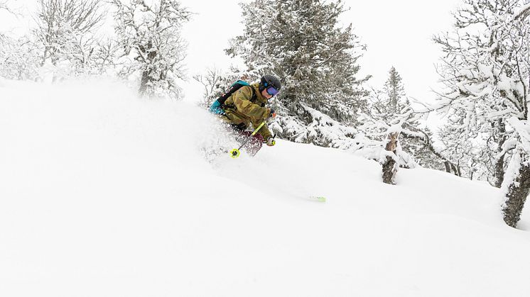 HEAD TO THE HOME OF SNOW: another terrific season continues in Sweden and Norway