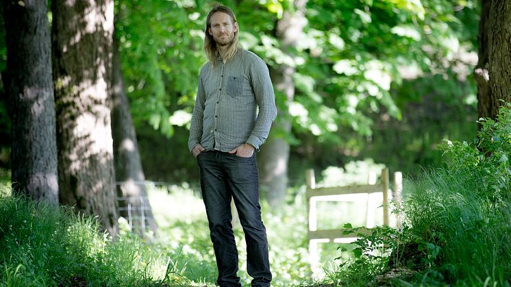 Alf Kjetil Walgermo