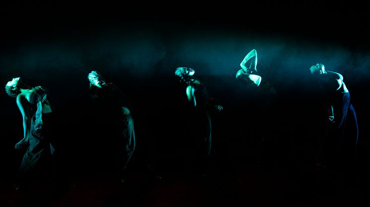 Company Nicolas Huchard - The barefoot diva