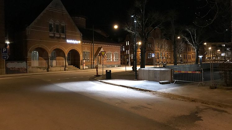 Kastanjeg