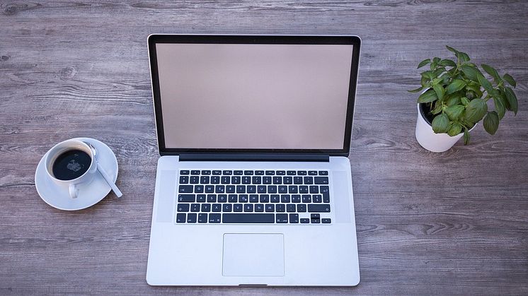 En SEO freelancer kan hjælpe dig med at opnå større omsætning og sætte gang i din forretning.