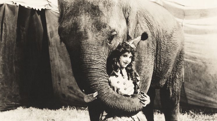  EXPERT COMMENT: Why America’s most famous circus was destined to fail