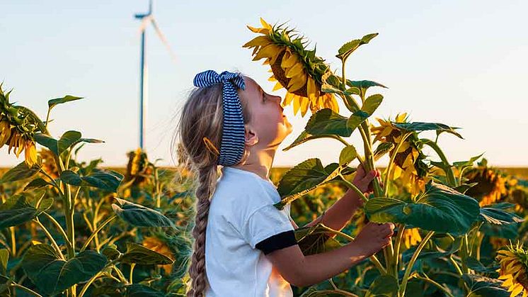 Nestlé har besluttet at halvere sine emissioner inden 2030 og opnå CO2-neutralitet inden 2050 – selv når virksomheden vokser. Det er der lagt en detaljeret køreplan for.