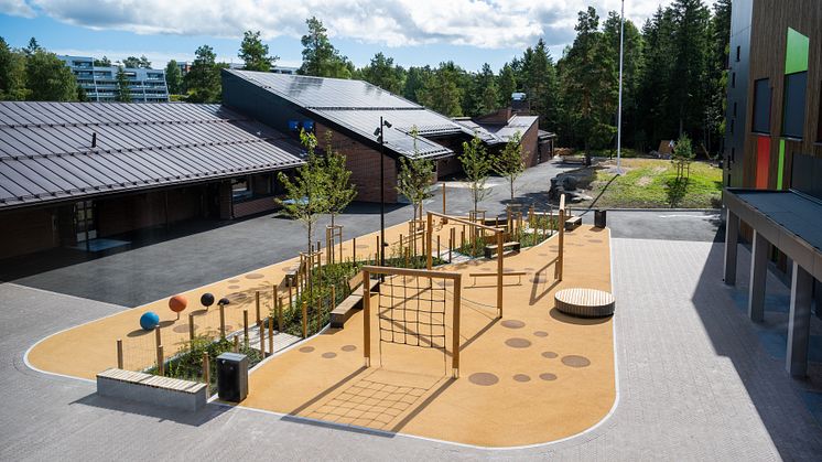 Bakås skole