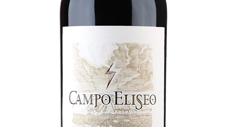 Campo_Eliseo_Toro