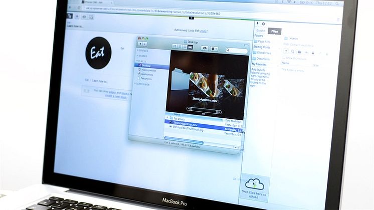 EPiServer 7 CMS - Multimedia