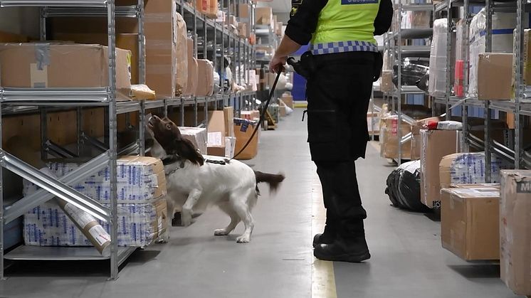 Årets narkotikasökhund 2021